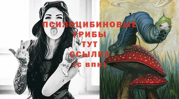 ECSTASY Алексин